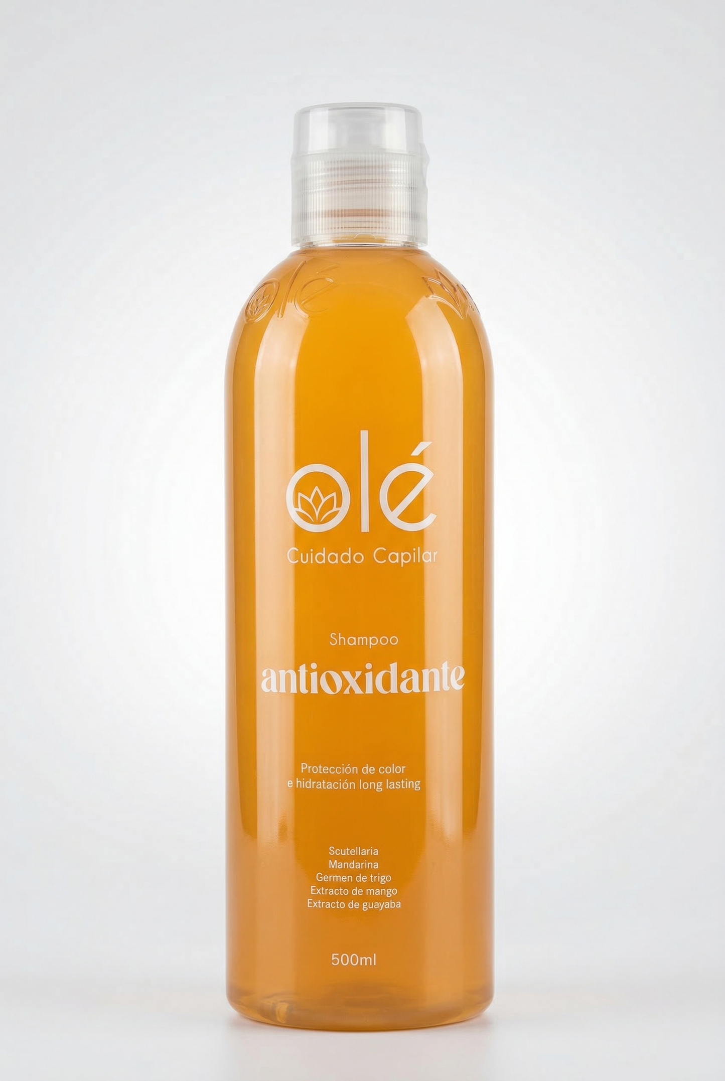 Antioxidant Shampoo- Fruit Mix