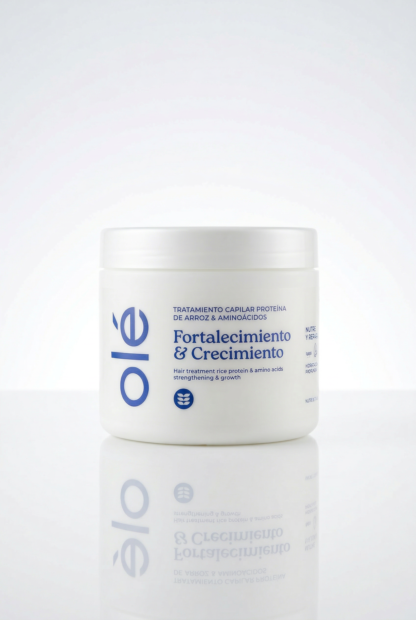 Rice Protein and Amino Acid Hair Treatment